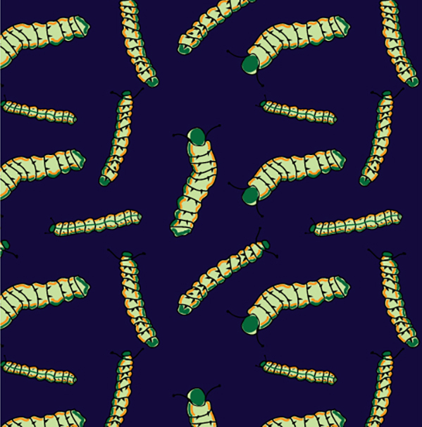 Pattern of caterpillars